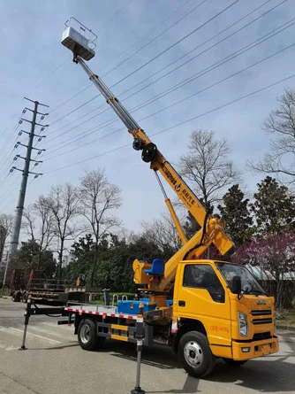 tree cutting boom truck
